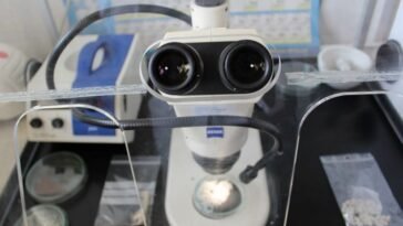 Laborintus online kémiaverseny