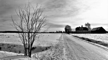 Az extrém hideg megterheli a szervezetet