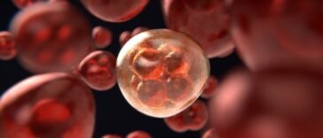 Világszinten versenyképes rákellenes hatóanyag