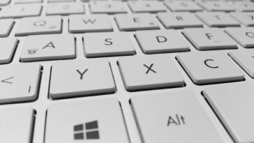 Linképítés blog Kanga Design SEO ügynökség kínálatában