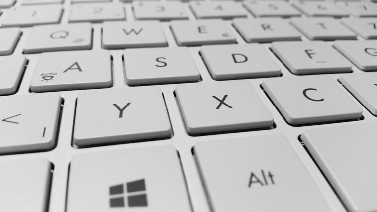 Linképítés blog Kanga Design SEO ügynökség kínálatában 7 Linképítés blog Kanga Design SEO ügynökség kínálatában
