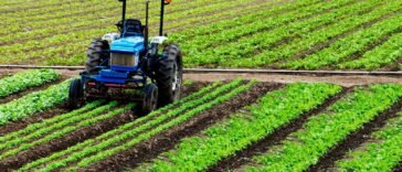 Homokos talaj feljavítása és talajszerkezet javítása