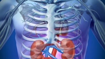 Egészséges a veséje?