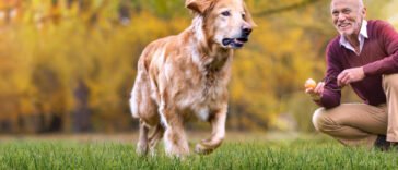 Új honlap vesebetegeknek