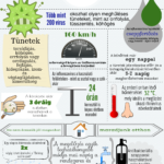 Tények az influenzáról 13 Tények az influenzáról