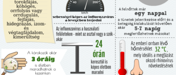 Tények az influenzáról