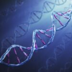 Csúcstechnológiás géppel térképezik fel az emberi génkészletet Budapesten