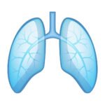 Légúti betegségben szenvedő gyerekek tüneteit vizsgálják Törökbálinton