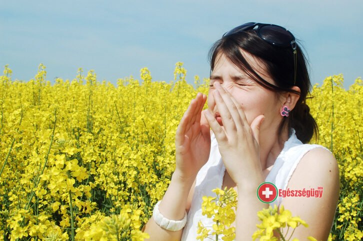 Pollenhelyzet - ÁNTSZ: a hétvégén a nyírfapollen mennyisége elérheti a magas szintet is
