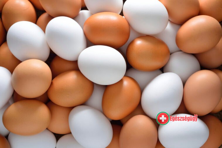 Heti négy tojás elfogyasztása csökkenti a 2-es típusú cukorbetegség kockázatát