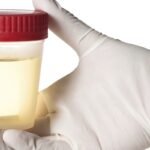 Down Egyesület közleménye