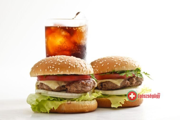A gyorséttermi ételek megölhetik az elhízás ellen óvó baktériumokat 7 A gyorséttermi ételek megölhetik az elhízás ellen óvó baktériumokat
