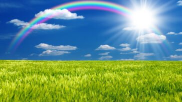 Gyermekhospice-ház épül Romonyán