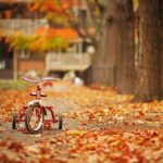 Hogyan készüljünk a hidegebb hónapokra?