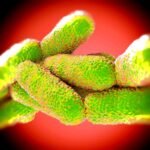 Legionella baktérium