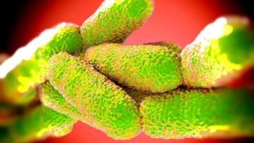 Legionella baktérium