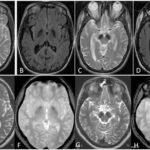 A világ legnagyobb egészségügyi vizuális adatbankja 15 A világ legnagyobb egészségügyi vizuális adatbankja