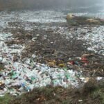 Mikroműanyagok élelmiszereinkben?