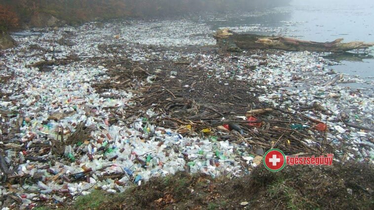 Mikroműanyagok élelmiszereinkben?