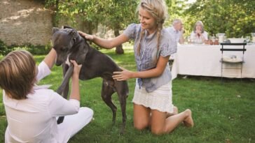 Bayer tarsalattarto 1