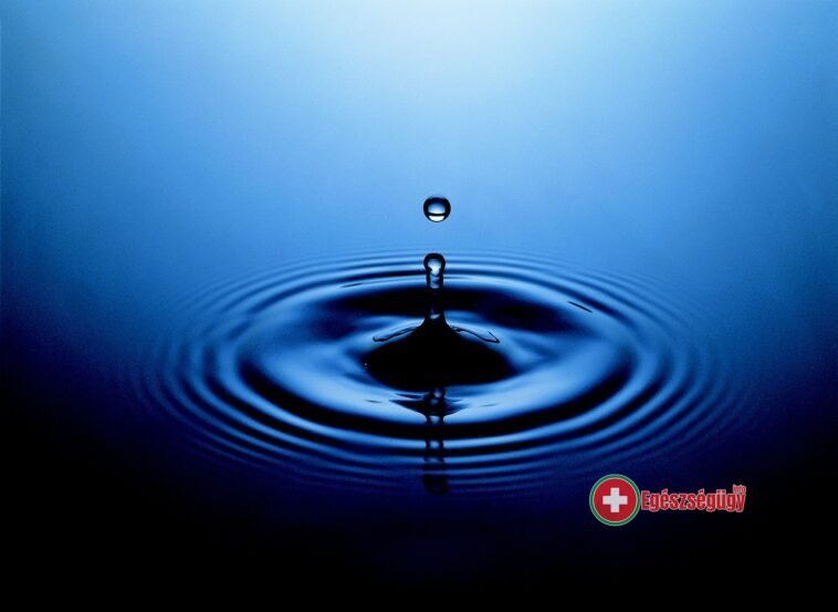 Az ásványvizek különböző típusai és eredetük 7 A víz, testünk éltető ereje