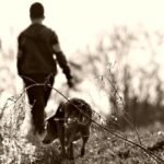 Elkezdődött a kullancsszezon