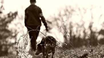 Elkezdődött a kullancsszezon