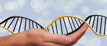 A Duchenne-féle izomdisztrófia kezelése CRISPR/Cas9-el