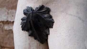 Szuperételek a merevedési zavarok ellen