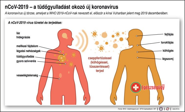 A tüdőgyulladást okozó koronavírus