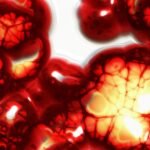 Rákellenes, természetes védelmi rendszert ismertek fel