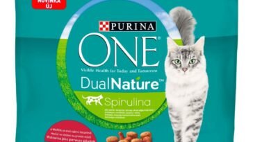 Mivel etesd a cicád? Házi készítésű eleség vagy kész macskaeledel?