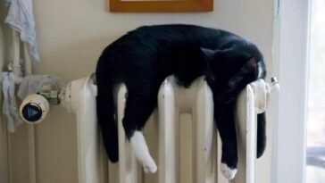 Egészségügyi okokból is érdemes lecserélni a fűtésünket