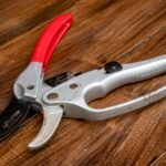 Létfontosságú szerszámok a kertgondozásban: kerti ollók