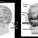 Stroke rehabilitáció