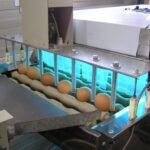 Az UV-C fény felhasználása és az élelmiszerbiztonságban