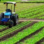 Homokos talaj feljavítása és talajszerkezet javítása