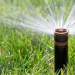 Öntözőrendszer házilag és öntözéstechnika Dunakeszi