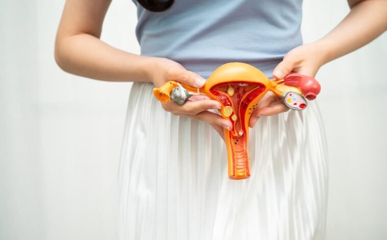 Hogyan befolyásolhatja a mindennapokat egy petefészek ciszta?